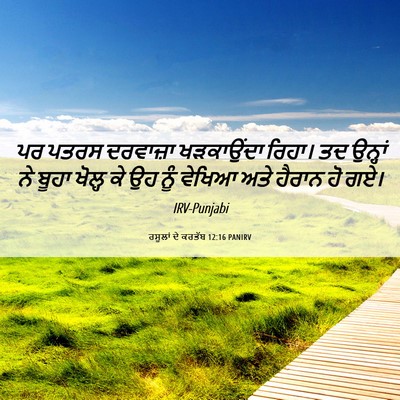 Picture 06 - ਰਸੂਲਾਂ ਦੇ ਕਰਤੱਬ 12:16 PANIRV - ਪਰ ਪਤਰਸ ਦਰਵਾਜ਼ਾ - Bible Verse Picture