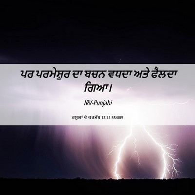 Picture 06 - ਰਸੂਲਾਂ ਦੇ ਕਰਤੱਬ 12:24 PANIRV - ਪਰ ਪਰਮੇਸ਼ੁਰ ਦਾ ਬਚਨ - Bible Verse Picture