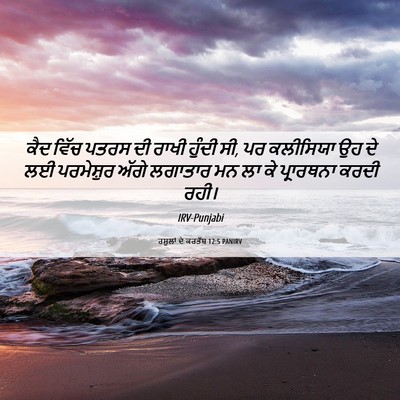 Picture 06 - ਰਸੂਲਾਂ ਦੇ ਕਰਤੱਬ 12:5 PANIRV - ਕੈਦ ਵਿੱਚ ਪਤਰਸ ਦੀ - Bible Verse Picture