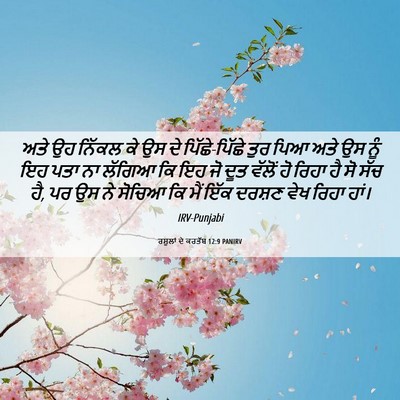 Picture 06 - ਰਸੂਲਾਂ ਦੇ ਕਰਤੱਬ 12:9 PANIRV - ਅਤੇ ਉਹ ਨਿੱਕਲ ਕੇ ਉਸ - Bible Verse Picture