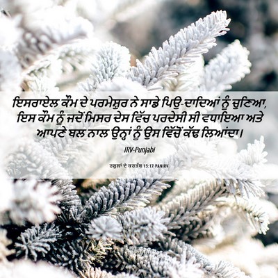 Picture 06 - ਰਸੂਲਾਂ ਦੇ ਕਰਤੱਬ 13:17 PANIRV - ਇਸਰਾਏਲ ਕੌਮ ਦੇ - Bible Verse Picture