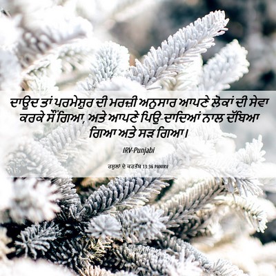 Picture 06 - ਰਸੂਲਾਂ ਦੇ ਕਰਤੱਬ 13:36 PANIRV - ਦਾਊਦ ਤਾਂ ਪਰਮੇਸ਼ੁਰ - Bible Verse Picture
