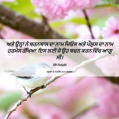 Picture 06 - ਰਸੂਲਾਂ ਦੇ ਕਰਤੱਬ 14:12 PANIRV - ਅਤੇ ਉਨ੍ਹਾਂ ਨੇ - Bible Verse Picture
