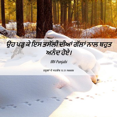 Picture 06 - ਰਸੂਲਾਂ ਦੇ ਕਰਤੱਬ 15:31 PANIRV - ਉਹ ਪੜ੍ਹ ਕੇ ਇਸ ਤਸੱਲੀ - Bible Verse Picture