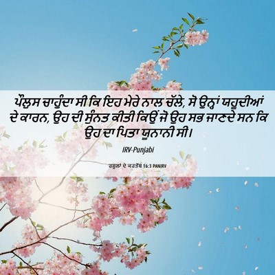 Picture 06 - ਰਸੂਲਾਂ ਦੇ ਕਰਤੱਬ 16:3 PANIRV - ਪੌਲੁਸ ਚਾਹੁੰਦਾ ਸੀ - Bible Verse Picture