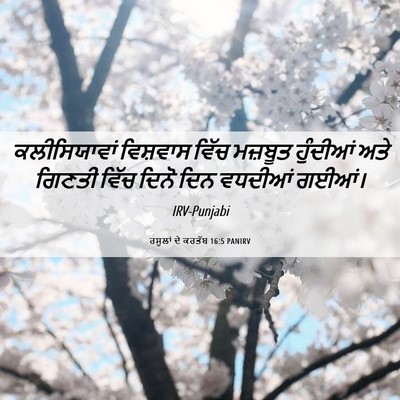 Picture 06 - ਰਸੂਲਾਂ ਦੇ ਕਰਤੱਬ 16:5 PANIRV - ਕਲੀਸਿਯਾਵਾਂ - Bible Verse Picture