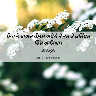 Picture 06 - ਰਸੂਲਾਂ ਦੇ ਕਰਤੱਬ 18:1 PANIRV - ਇਹ ਤੋਂ ਬਾਅਦ ਪੌਲੁਸ - Bible Verse Picture
