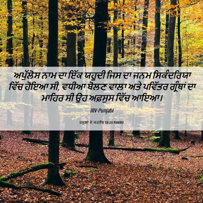 Picture 06 - ਰਸੂਲਾਂ ਦੇ ਕਰਤੱਬ 18:24 PANIRV - ਅਪੁੱਲੋਸ ਨਾਮ ਦਾ ਇੱਕ - Bible Verse Picture