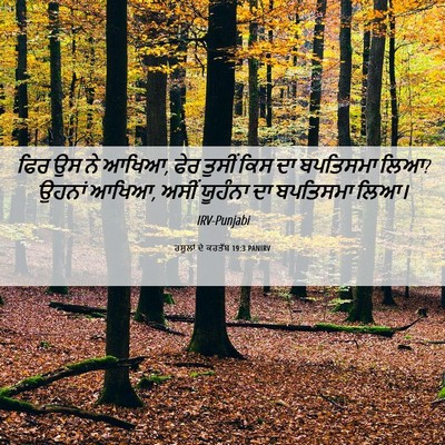 Picture 06 - ਰਸੂਲਾਂ ਦੇ ਕਰਤੱਬ 19:3 PANIRV - ਫਿਰ ਉਸ ਨੇ ਆਖਿਆ, ਫੇਰ - Bible Verse Picture