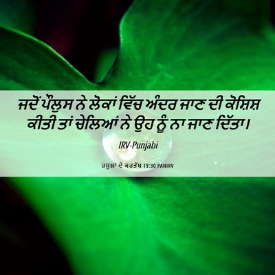 Picture 06 - ਰਸੂਲਾਂ ਦੇ ਕਰਤੱਬ 19:30 PANIRV - ਜਦੋਂ ਪੌਲੁਸ ਨੇ - Bible Verse Picture