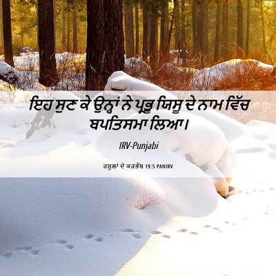 Picture 06 - ਰਸੂਲਾਂ ਦੇ ਕਰਤੱਬ 19:5 PANIRV - ਇਹ ਸੁਣ ਕੇ ਉਨ੍ਹਾਂ ਨੇ - Bible Verse Picture