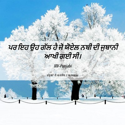 Picture 06 - ਰਸੂਲਾਂ ਦੇ ਕਰਤੱਬ 2:16 PANIRV - ਪਰ ਇਹ ਉਹ ਗੱਲ ਹੈ ਜੋ - Bible Verse Picture