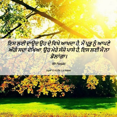 Picture 06 - ਰਸੂਲਾਂ ਦੇ ਕਰਤੱਬ 2:25 PANIRV - ਇਸ ਲਈ ਦਾਊਦ ਉਹ ਦੇ - Bible Verse Picture