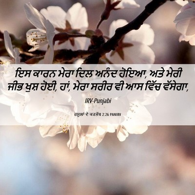 Picture 06 - ਰਸੂਲਾਂ ਦੇ ਕਰਤੱਬ 2:26 PANIRV - ਇਸ ਕਾਰਨ ਮੇਰਾ ਦਿਲ - Bible Verse Picture