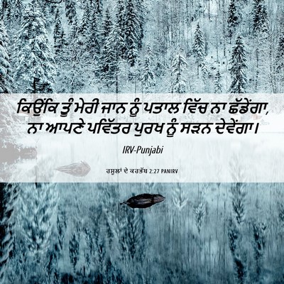 Picture 06 - ਰਸੂਲਾਂ ਦੇ ਕਰਤੱਬ 2:27 PANIRV - ਕਿਉਂਕਿ ਤੂੰ ਮੇਰੀ - Bible Verse Picture