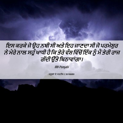 Picture 06 - ਰਸੂਲਾਂ ਦੇ ਕਰਤੱਬ 2:30 PANIRV - ਇਸ ਕਰਕੇ ਜੋ ਉਹ ਨਬੀ - Bible Verse Picture