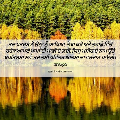 Picture 06 - ਰਸੂਲਾਂ ਦੇ ਕਰਤੱਬ 2:38 PANIRV - ਤਦ ਪਤਰਸ ਨੇ ਉਨ੍ਹਾਂ - Bible Verse Picture