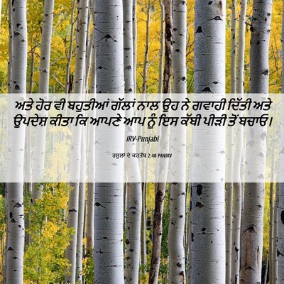 Picture 06 - ਰਸੂਲਾਂ ਦੇ ਕਰਤੱਬ 2:40 PANIRV - ਅਤੇ ਹੋਰ ਵੀ ਬਹੁਤੀਆਂ - Bible Verse Picture