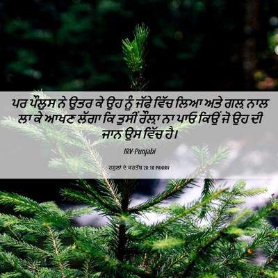 Picture 06 - ਰਸੂਲਾਂ ਦੇ ਕਰਤੱਬ 20:10 PANIRV - ਪਰ ਪੌਲੁਸ ਨੇ ਉਤਰ ਕੇ - Bible Verse Picture