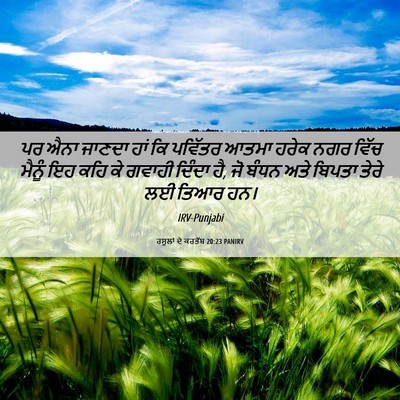 Picture 06 - ਰਸੂਲਾਂ ਦੇ ਕਰਤੱਬ 20:23 PANIRV - ਪਰ ਐਨਾ ਜਾਣਦਾ ਹਾਂ ਕਿ - Bible Verse Picture