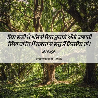 Picture 06 - ਰਸੂਲਾਂ ਦੇ ਕਰਤੱਬ 20:26 PANIRV - ਇਸ ਲਈ ਮੈਂ ਅੱਜ ਦੇ - Bible Verse Picture