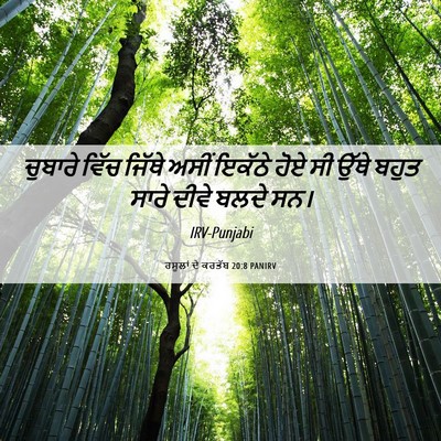 Picture 06 - ਰਸੂਲਾਂ ਦੇ ਕਰਤੱਬ 20:8 PANIRV - ਚੁਬਾਰੇ ਵਿੱਚ ਜਿੱਥੇ - Bible Verse Picture