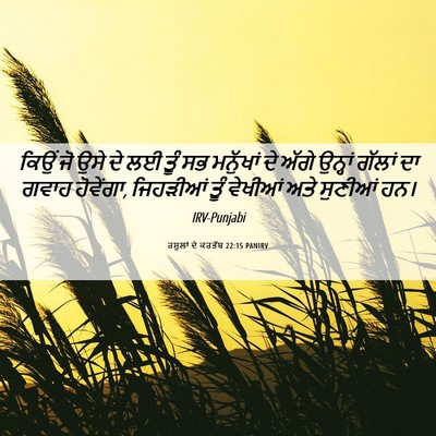 Picture 06 - ਰਸੂਲਾਂ ਦੇ ਕਰਤੱਬ 22:15 PANIRV - ਕਿਉਂ ਜੋ ਉਸੇ ਦੇ ਲਈ - Bible Verse Picture