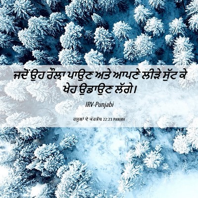 Picture 06 - ਰਸੂਲਾਂ ਦੇ ਕਰਤੱਬ 22:23 PANIRV - ਜਦੋਂ ਉਹ ਰੌਲ਼ਾ ਪਾਉਣ - Bible Verse Picture