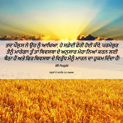 Picture 06 - ਰਸੂਲਾਂ ਦੇ ਕਰਤੱਬ 23:3 PANIRV - ਤਦ ਪੌਲੁਸ ਨੇ ਉਹ ਨੂੰ - Bible Verse Picture