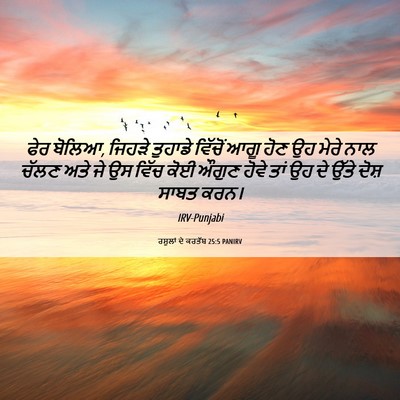 Picture 06 - ਰਸੂਲਾਂ ਦੇ ਕਰਤੱਬ 25:5 PANIRV - ਫੇਰ ਬੋਲਿਆ, ਜਿਹੜੇ - Bible Verse Picture