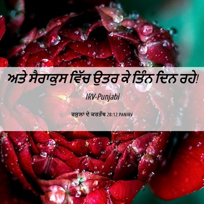 Picture 06 - ਰਸੂਲਾਂ ਦੇ ਕਰਤੱਬ 28:12 PANIRV - ਅਤੇ ਸੈਰਾਕੁਸ ਵਿੱਚ - Bible Verse Picture