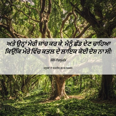 Picture 06 - ਰਸੂਲਾਂ ਦੇ ਕਰਤੱਬ 28:18 PANIRV - ਅਤੇ ਉਨ੍ਹਾਂ ਮੇਰੀ - Bible Verse Picture