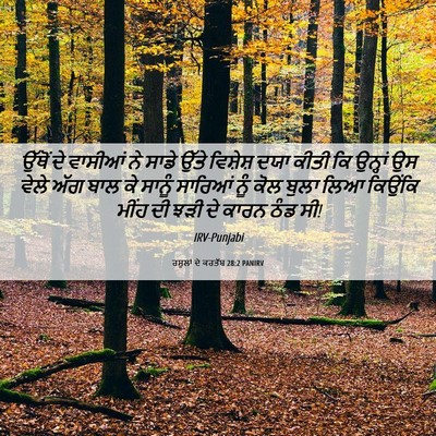 Picture 06 - ਰਸੂਲਾਂ ਦੇ ਕਰਤੱਬ 28:2 PANIRV - ਉੱਥੋਂ ਦੇ ਵਾਸੀਆਂ ਨੇ - Bible Verse Picture