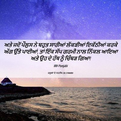 Picture 06 - ਰਸੂਲਾਂ ਦੇ ਕਰਤੱਬ 28:3 PANIRV - ਅਤੇ ਜਦੋਂ ਪੌਲੁਸ ਨੇ - Bible Verse Picture