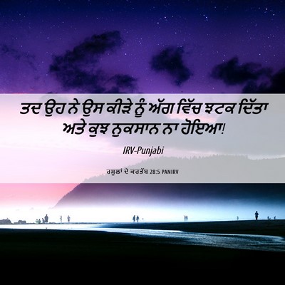 Picture 06 - ਰਸੂਲਾਂ ਦੇ ਕਰਤੱਬ 28:5 PANIRV - ਤਦ ਉਹ ਨੇ ਉਸ ਕੀੜੇ - Bible Verse Picture