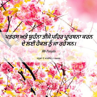 Picture 06 - ਰਸੂਲਾਂ ਦੇ ਕਰਤੱਬ 3:1 PANIRV - ਪਤਰਸ ਅਤੇ ਯੂਹੰਨਾ - Bible Verse Picture