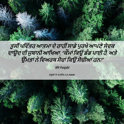 Picture 06 - ਰਸੂਲਾਂ ਦੇ ਕਰਤੱਬ 4:25 PANIRV - ਤੁਸੀਂ ਪਵਿੱਤਰ ਆਤਮਾ - Bible Verse Picture