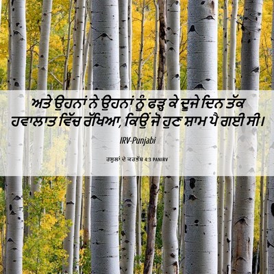 Picture 06 - ਰਸੂਲਾਂ ਦੇ ਕਰਤੱਬ 4:3 PANIRV - ਅਤੇ ਉਹਨਾਂ ਨੇ ਉਹਨਾਂ - Bible Verse Picture