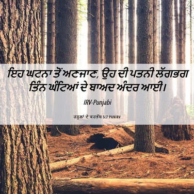 Picture 06 - ਰਸੂਲਾਂ ਦੇ ਕਰਤੱਬ 5:7 PANIRV - ਇਹ ਘਟਨਾ ਤੋਂ ਅਣਜਾਣ, - Bible Verse Picture