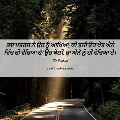 Picture 06 - ਰਸੂਲਾਂ ਦੇ ਕਰਤੱਬ 5:8 PANIRV - ਤਦ ਪਤਰਸ ਨੇ ਉਹ ਨੂੰ - Bible Verse Picture