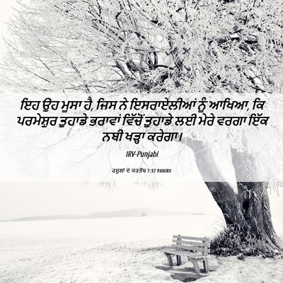 Picture 06 - ਰਸੂਲਾਂ ਦੇ ਕਰਤੱਬ 7:37 PANIRV - ਇਹ ਉਹ ਮੂਸਾ ਹੈ, ਜਿਸ - Bible Verse Picture