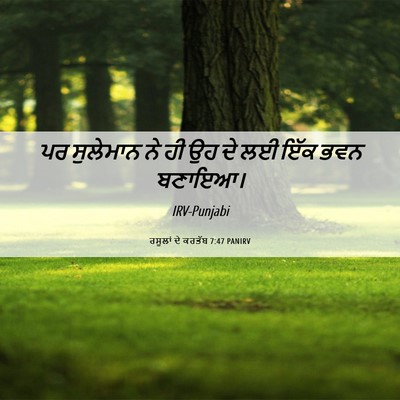 Picture 06 - ਰਸੂਲਾਂ ਦੇ ਕਰਤੱਬ 7:47 PANIRV - ਪਰ ਸੁਲੇਮਾਨ ਨੇ ਹੀ ਉਹ - Bible Verse Picture