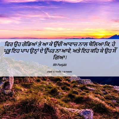 Picture 06 - ਰਸੂਲਾਂ ਦੇ ਕਰਤੱਬ 7:60 PANIRV - ਫਿਰ ਉਹ ਗੋਡਿਆਂ ਤੇ ਆ - Bible Verse Picture