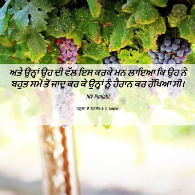 Picture 06 - ਰਸੂਲਾਂ ਦੇ ਕਰਤੱਬ 8:11 PANIRV - ਅਤੇ ਉਨ੍ਹਾਂ ਉਹ ਦੀ - Bible Verse Picture