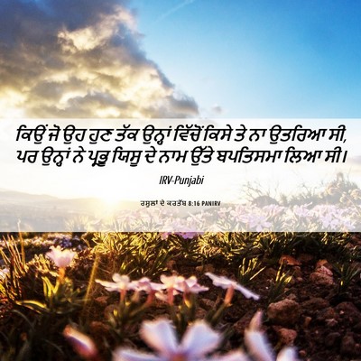 Picture 06 - ਰਸੂਲਾਂ ਦੇ ਕਰਤੱਬ 8:16 PANIRV - ਕਿਉਂ ਜੋ ਉਹ ਹੁਣ ਤੱਕ - Bible Verse Picture