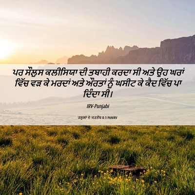 Picture 06 - ਰਸੂਲਾਂ ਦੇ ਕਰਤੱਬ 8:3 PANIRV - ਪਰ ਸੌਲੁਸ ਕਲੀਸਿਯਾ - Bible Verse Picture