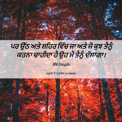 Picture 06 - ਰਸੂਲਾਂ ਦੇ ਕਰਤੱਬ 9:6 PANIRV - ਪਰ ਉੱਠ ਅਤੇ ਸ਼ਹਿਰ - Bible Verse Picture