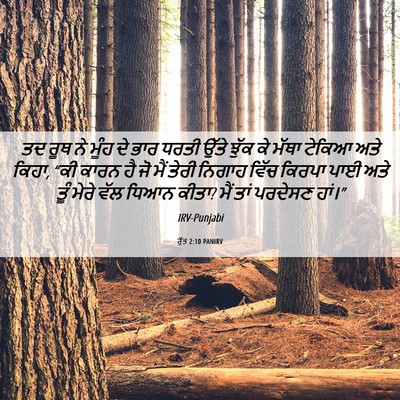 Picture 06 - ਰੁੱਤ 2:10 PANIRV - ਤਦ ਰੂਥ ਨੇ ਮੂੰਹ ਦੇ - Bible Verse Picture