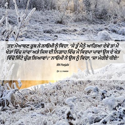 Picture 06 - ਰੁੱਤ 2:2 PANIRV - ਤਦ ਮੋਆਬਣ ਰੂਥ ਨੇ - Bible Verse Picture