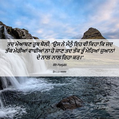 Picture 06 - ਰੁੱਤ 2:21 PANIRV - ਤਦ ਮੋਆਬਣ ਰੂਥ ਬੋਲੀ, - Bible Verse Picture